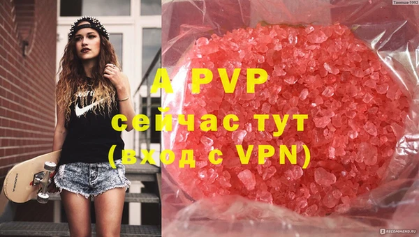прущая мука Бородино