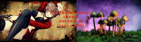 мдпв Белокуриха